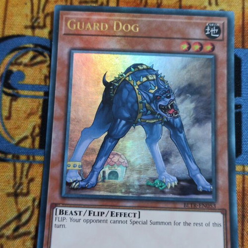 Guard Dog Effect Monster Yu-Gi-Oh! card like new