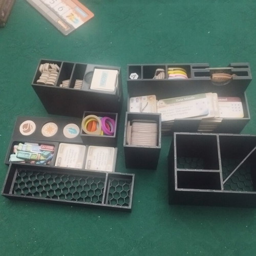 Arydia 3D printed insert custom made