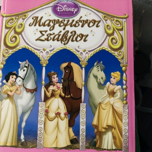 Disney Magemeni Stavloi book used