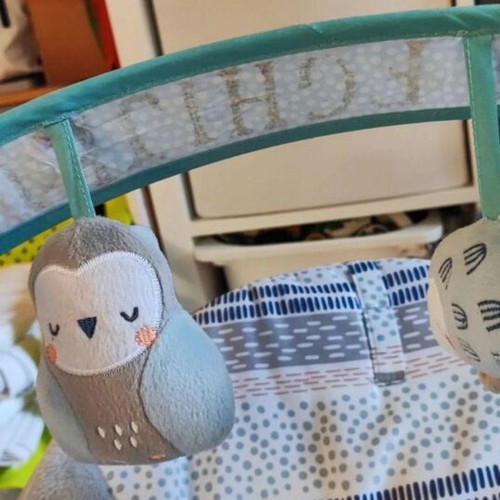 Ingenuity Power Adapt Portable Swing like new