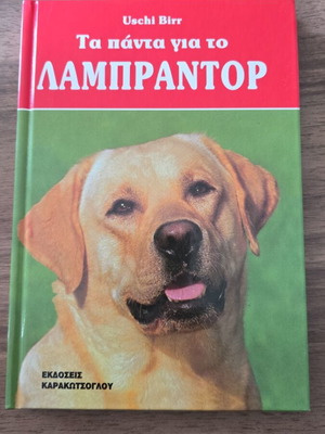Everything About Labrador Book Like New