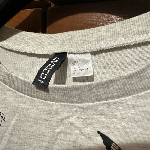 H&M women's blouse grey, long sleeve, like new, size L