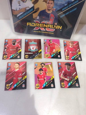 Panini FIFA 365 2024 Adrenalyn XL 31 cards like new