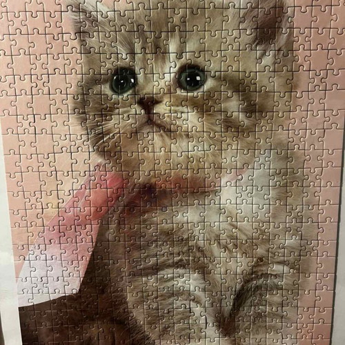 Framed 500-piece kitten puzzle with pink frame and glass