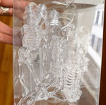 Skeleton string lights new with battery and switch