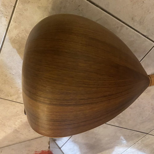 Student Tambouras with case, strings replaced