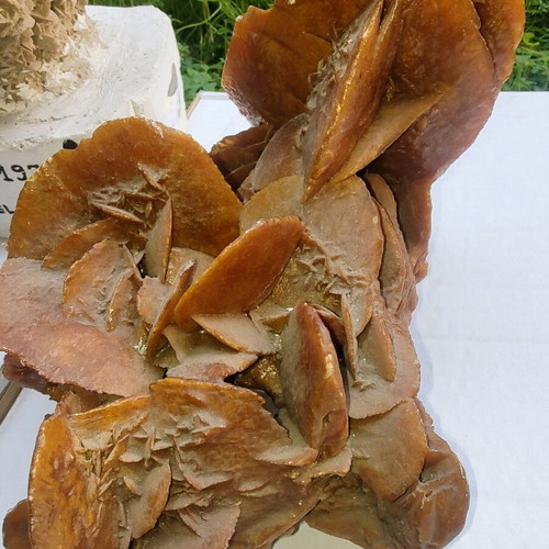 Sea amber like new