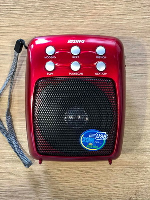 RISING rechargeable radio with USB new