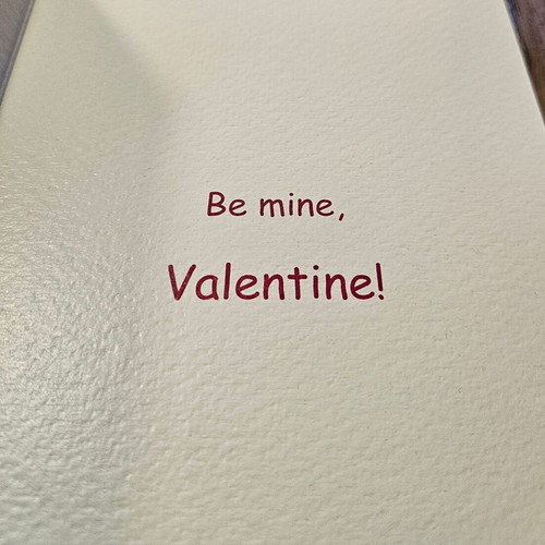 Valentines Day card new