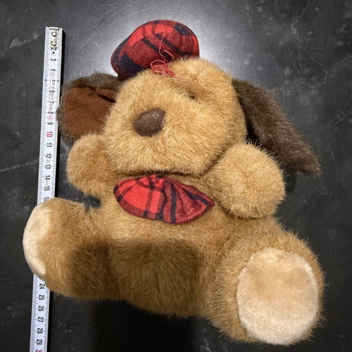 Plush dog with cap used