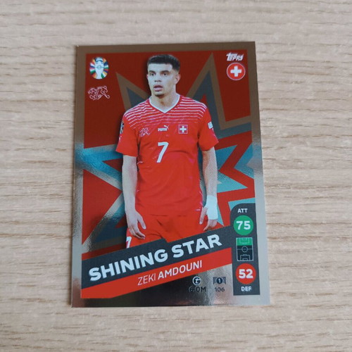 Shining Stars Lidl Card Collection Euro 2024 new