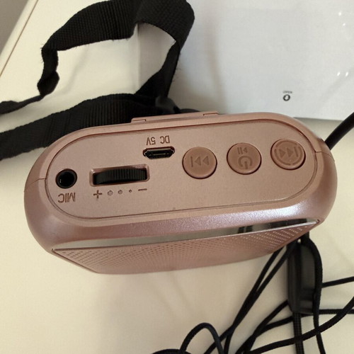 Φορητός ενισχυτής φωνής Hi-Fi 8W με headset μικρόφωνο, ροζ