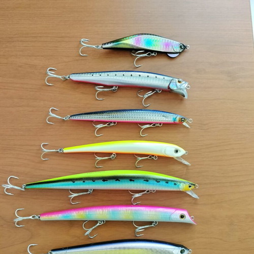 Artificial fishing lures used, various models including Ima Barbarossa and Molix Audace