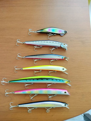 Artificial fishing lures used, various models including Ima Barbarossa and Molix Audace