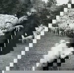  ΒΛΑΧΟΙ.