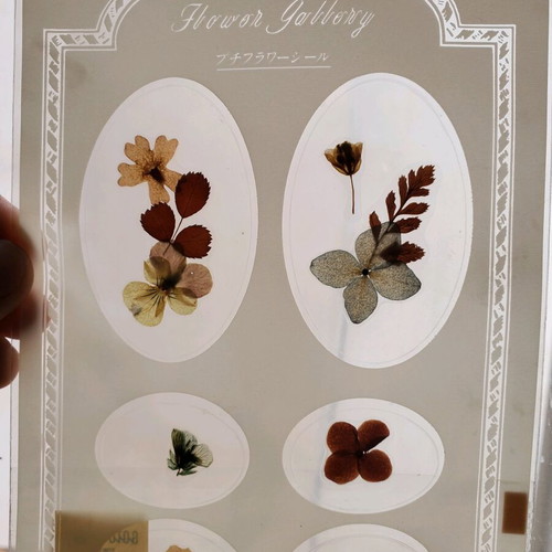 Decorative frame with authentic dried flowers new