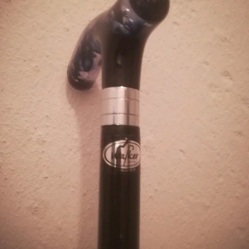 Walking stick and support cane new