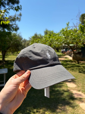 Καπέλο Polo Ralph Lauren γκρι καινούργιο