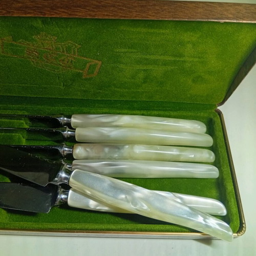 The Sheffield Crown Cutlery S.C.C. steak knife set of 6 with pearl handles in case