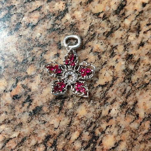 Pandora charm