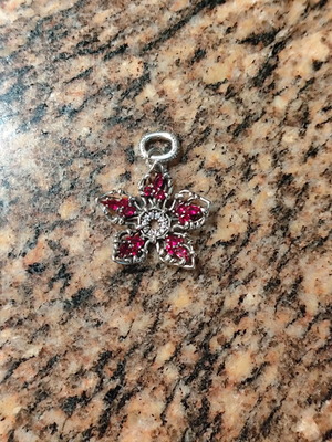 Pandora charm