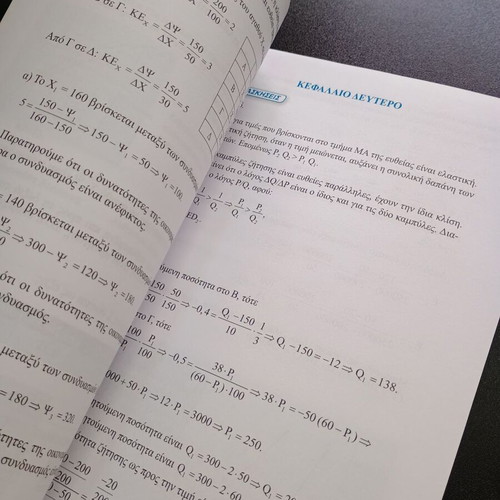 Principles of Economic Theory Exercise Solutions Book like new
