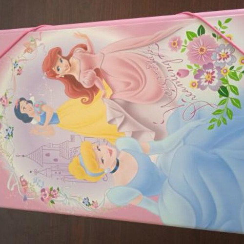 Children's folder with Disney Princess design like new