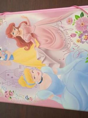 Children's folder with Disney Princess design like new