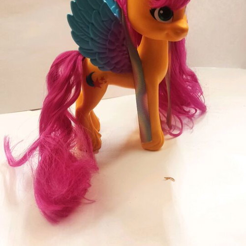 My Little Pony Sunny Starcut Hasbro 15cm used