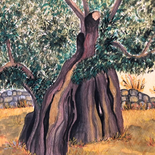 Olive tree watercolours painting new, decoration or gift