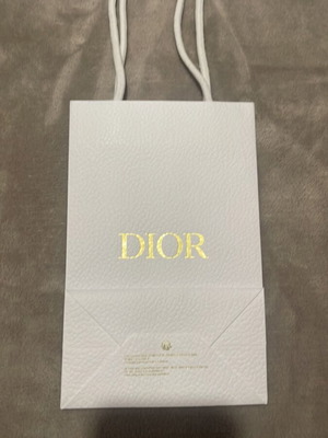 Dior paper bag small new