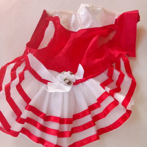 Dress for small dog new