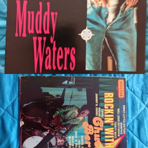 Muddy Waters and Chuck Berry vinyl records like new, rock