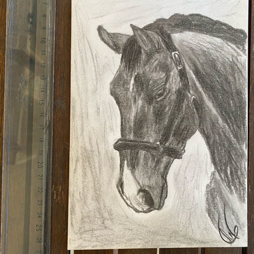 Horse charcoal drawing new, size A5