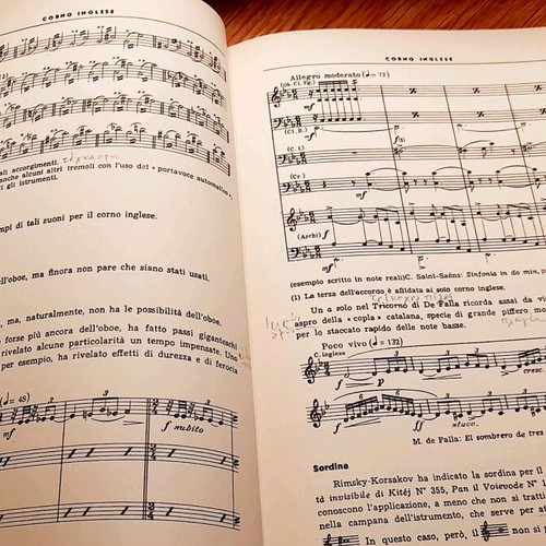 La Tecnica Dell'Orchestra Contemporanea book like new, Italian
