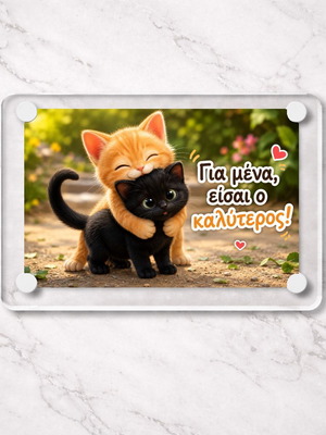 Acrylic fridge magnet 9x6cm "You Are The Best" viral cat design new