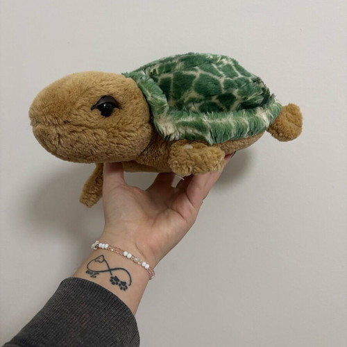 Plush turtle like new, soft medium-sized toy