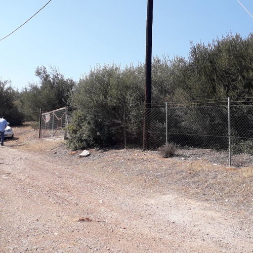 Land in Aliki, Boeotia