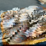  Πραγματικά κοχύλια από Χαβάη