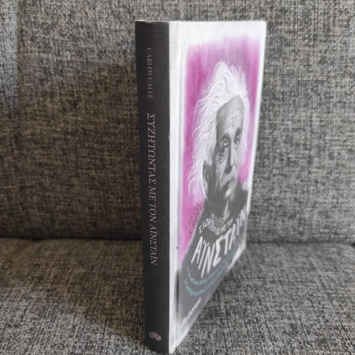 Discussing with Einstein book like new, science