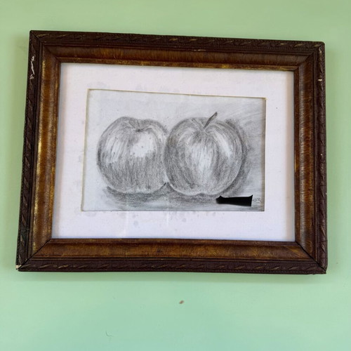 Framed black and white apple drawing