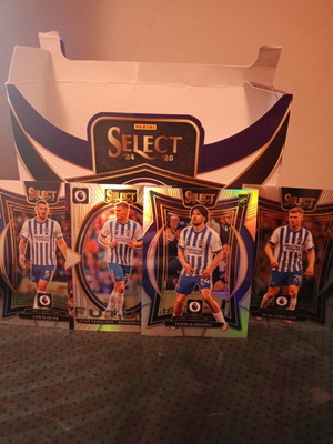 Brighton Select 24-25 trading cards like new