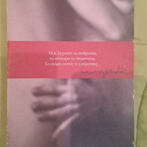 Middlesex book literary like new