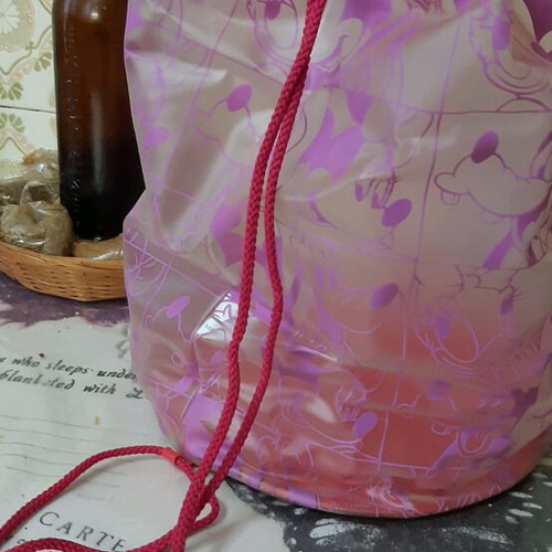 Disney plastic children's bag like new
