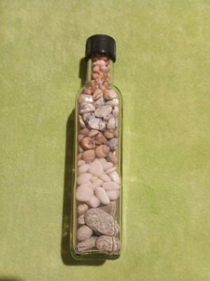 Decorative bottle with natural seashells and pebbles new