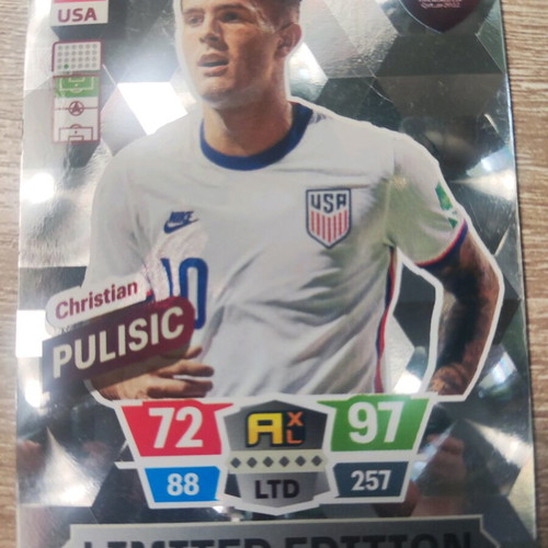 Panini collectible football card new