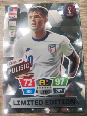 Panini collectible football card new