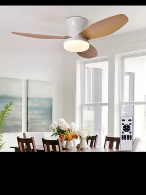 Ceiling fan light, white with wooden blades