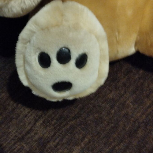 Plush teddy bear like new