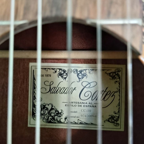 Trichordo Bouzouki, classical guitar, Boss DR 880 drum machine, Hohner instrument stand, tuner, metronome